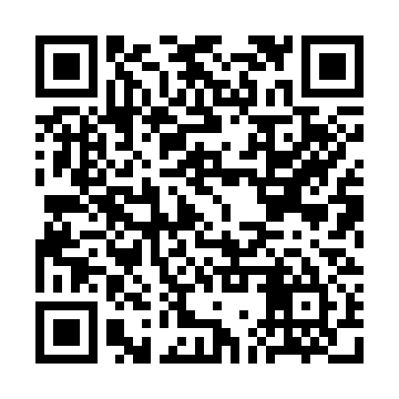 QR code for CGX335