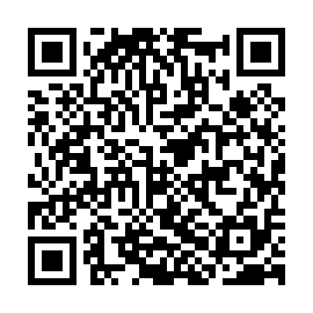 QR code for CHI015