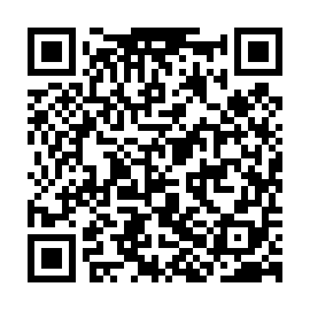 QR code for CHI458