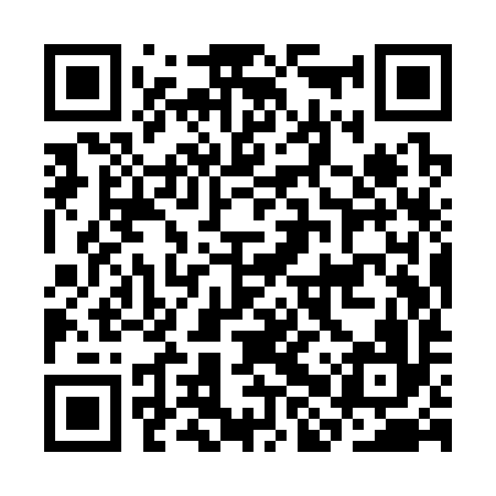 QR code for CHYS96
