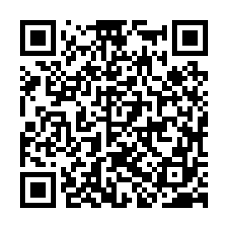 QR code for CHZ272