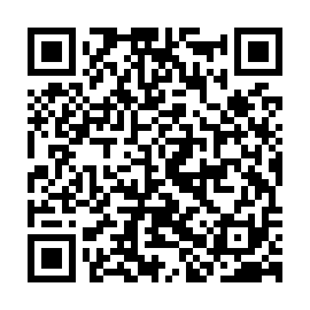 QR code for CHZO11