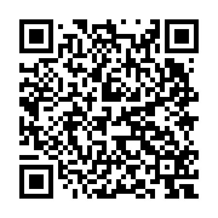 QR code for CII616