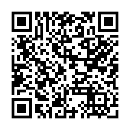 QR code for CIO311