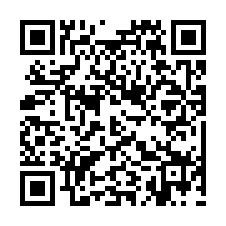 QR code for CIR379