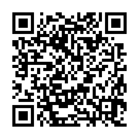 QR code for CIS787