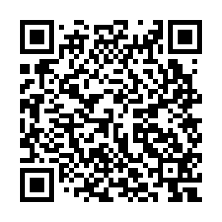 QR code for CLG313