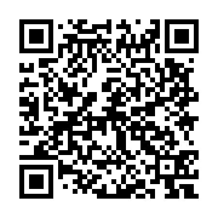 QR code for CNY531