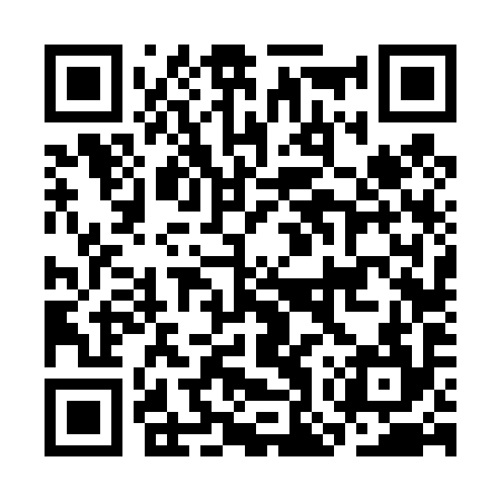 QR code for COV494