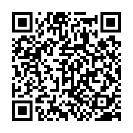 QR code for CVFG38