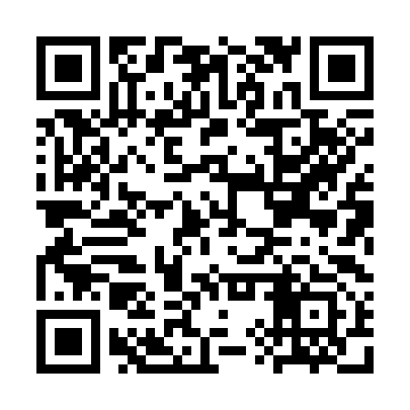 QR code for CYX393