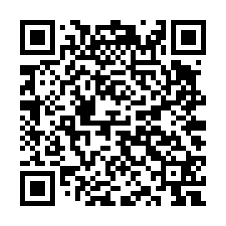 QR code for CZDT20