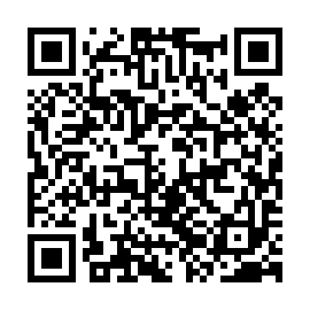 QR code for CZE493