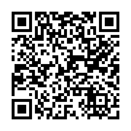 QR code for CZP391