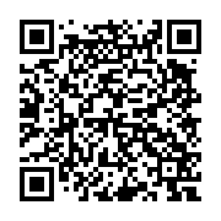 QR code for CZP463