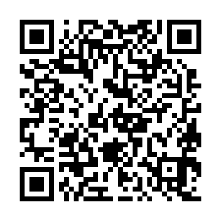 QR code for DAG291