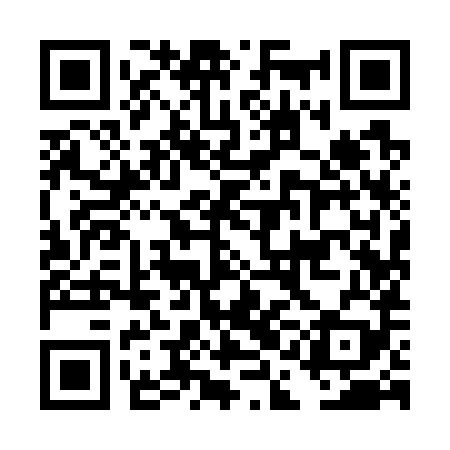 QR code for DAI789