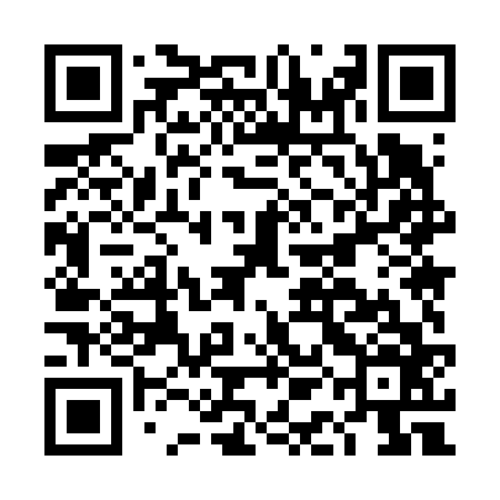 QR code for DAM666
