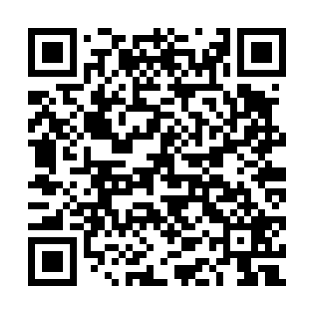 QR code for DART29