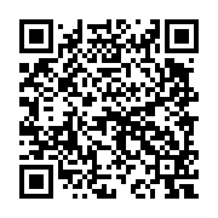 QR code for DBH493