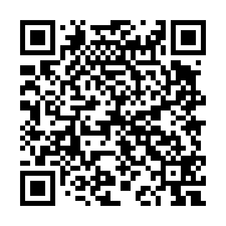 QR code for DBM419