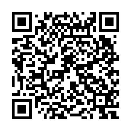 QR code for DDGF13