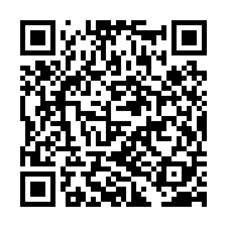 QR code for DDIR09