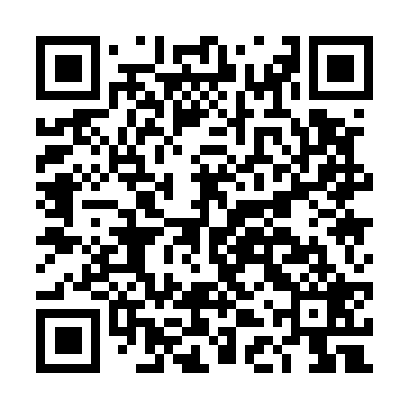 QR code for DDQ529