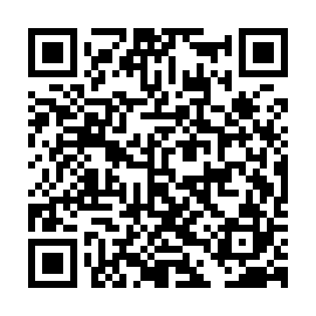 QR code for DDQI22