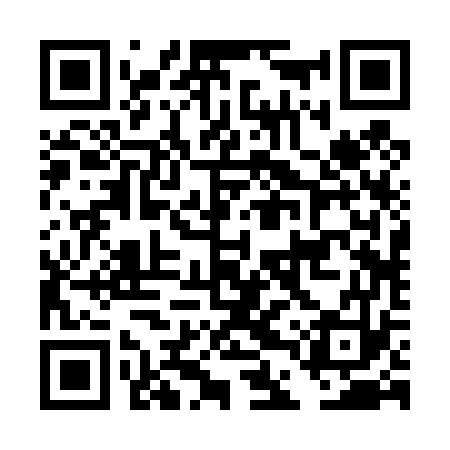 QR code for DDR473