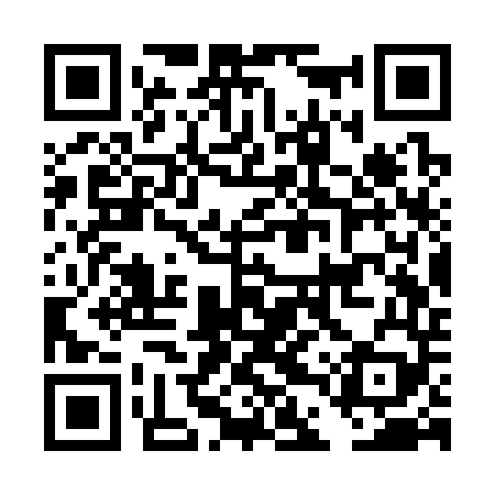 QR code for DDSS49