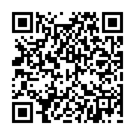 QR code for DDT387