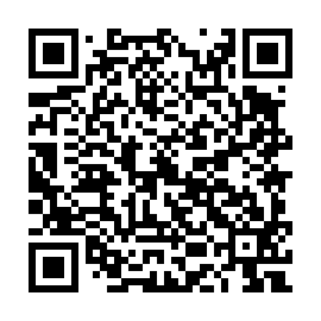 QR code for DEM493