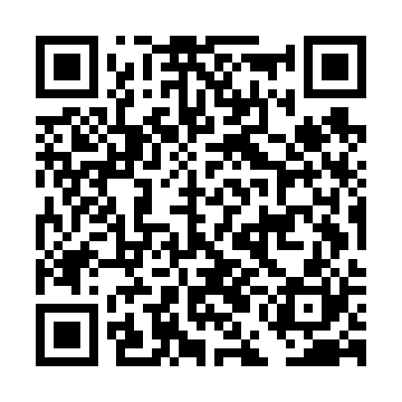 QR code for DEMF20