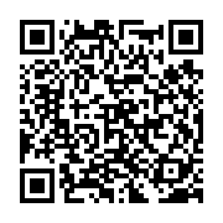 QR code for DFAF29