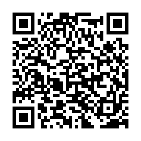 QR code for DFDC13