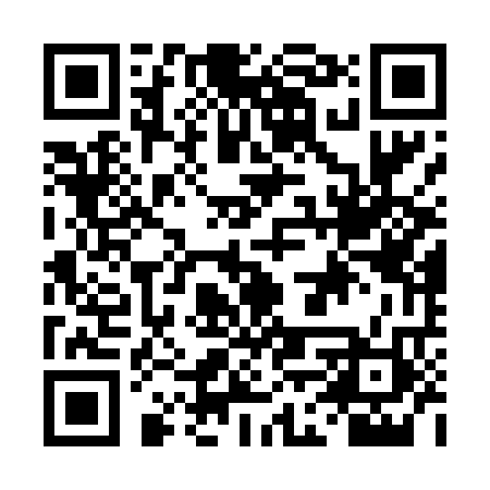 QR code for DFST22