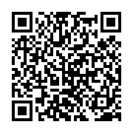 QR code for DGDD13