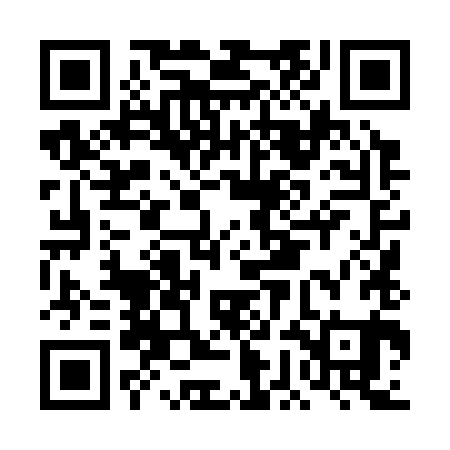 QR code for DGL381