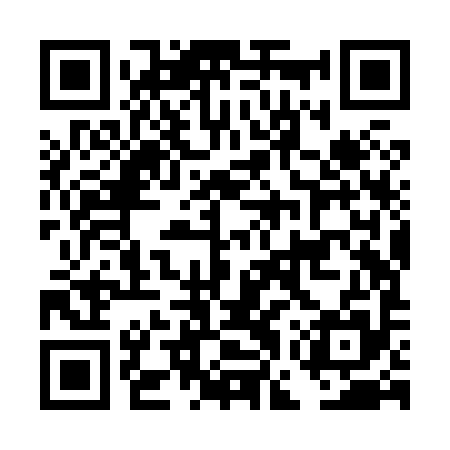 QR code for DGZX95