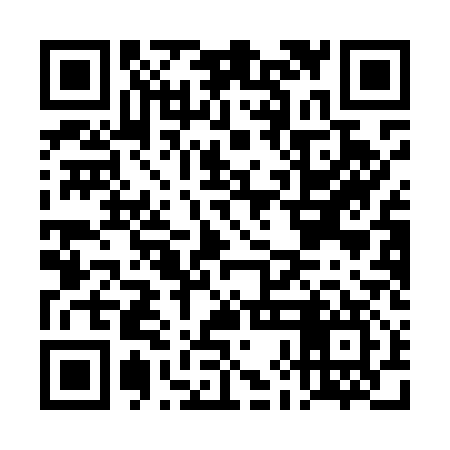 QR code for DHAM17