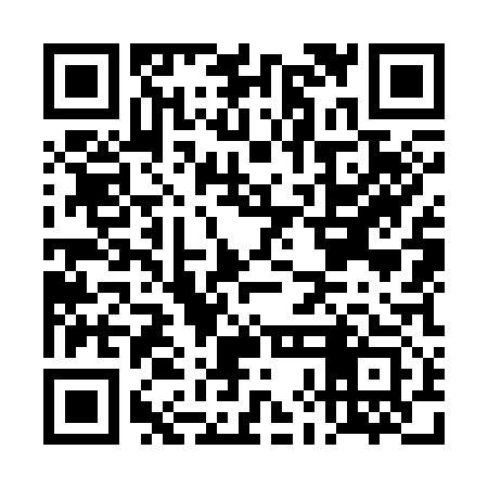 QR code for DHO313