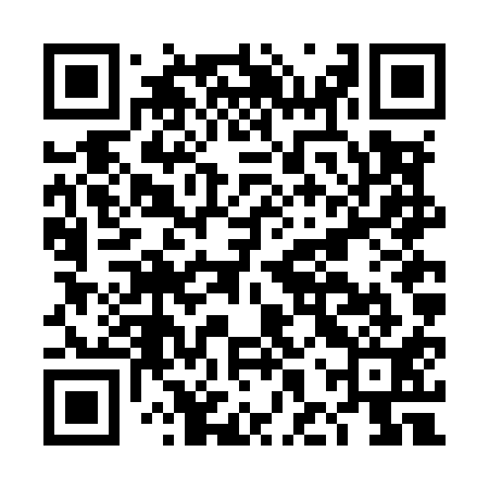 QR code for DHVM11