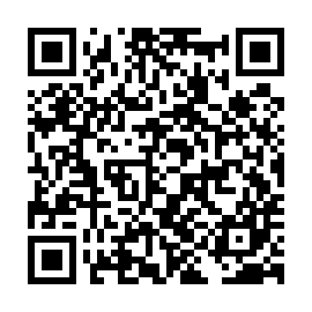 QR code for DICE87