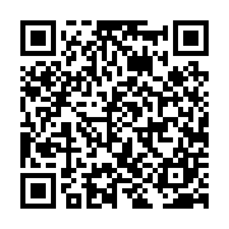 QR code for DID207