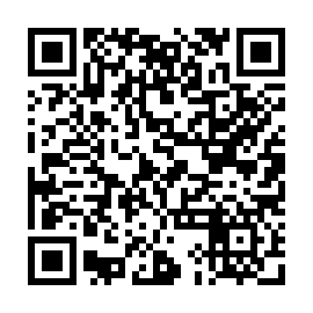 QR code for DID387