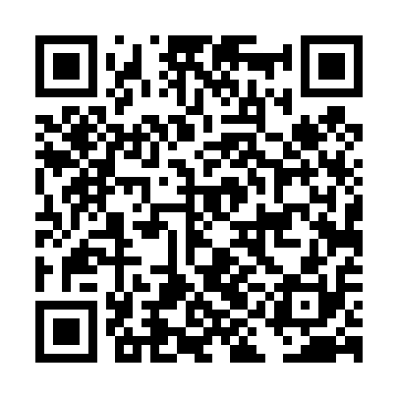 QR code for DID410