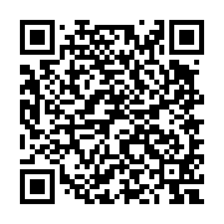 QR code for DIE491