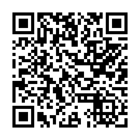 QR code for DIF653