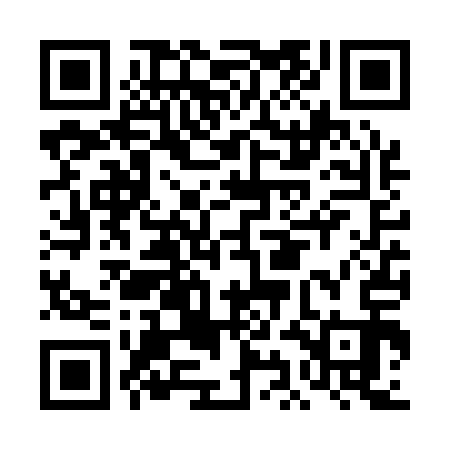 QR code for DIFQ13